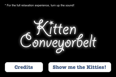 Kitten Conveyorbelt